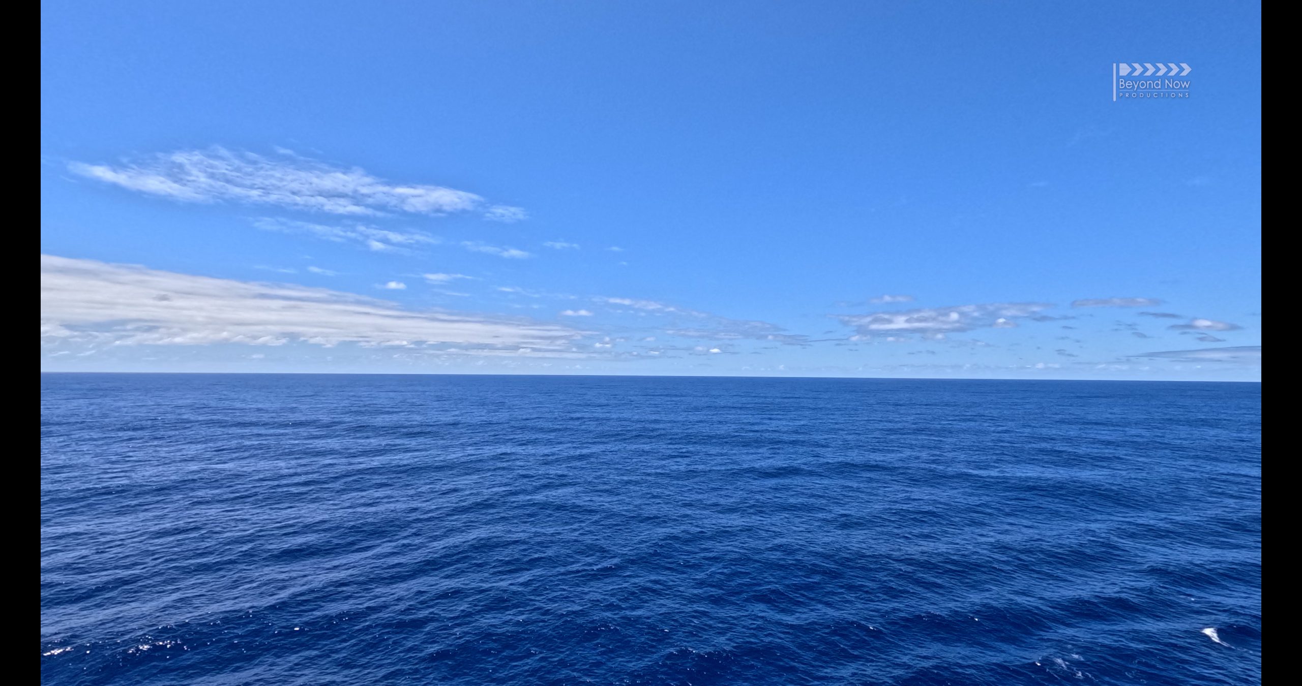 Day 10 Tasman Sea Trip